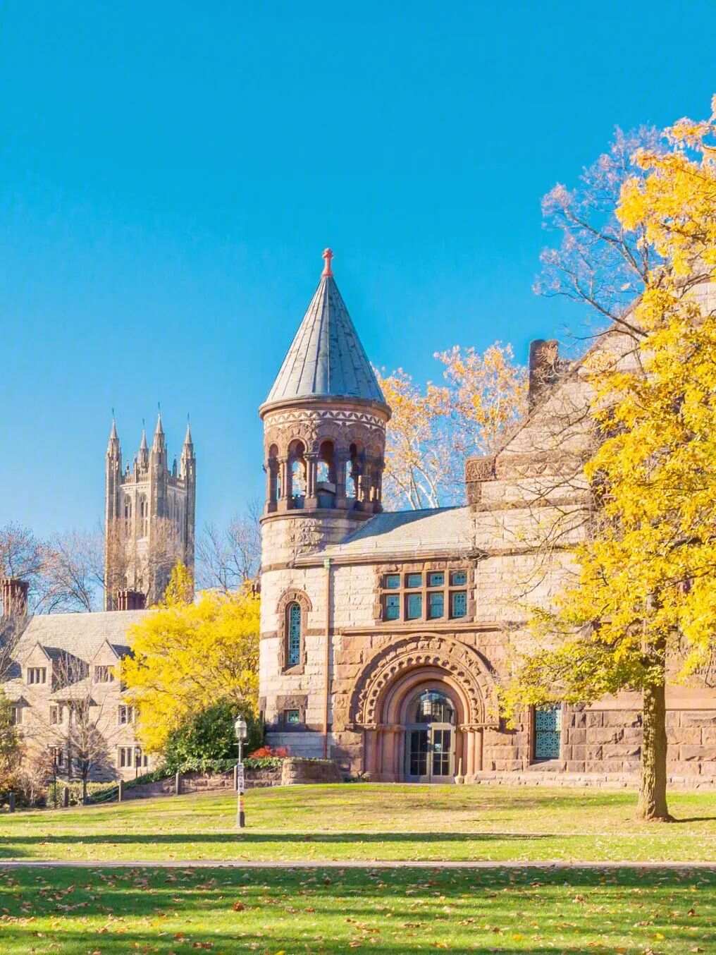 加州大学洛杉矶分校